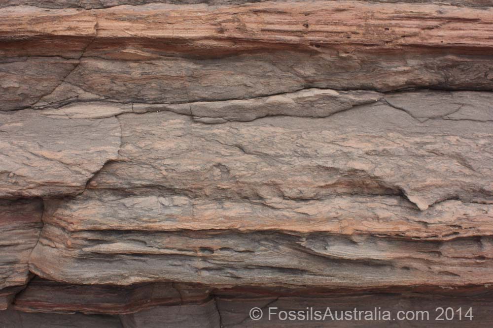Bioturbation
